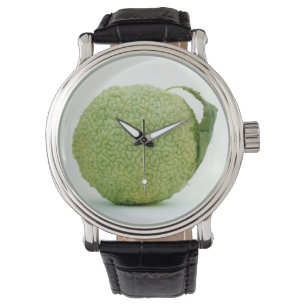 Montre Gros héraut vert