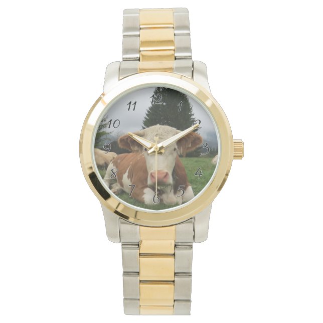 Montre Gros plan d'une vache brune et blanche (devant)