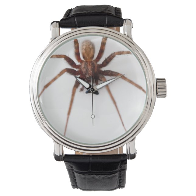 Montre Grosse araignée (devant)
