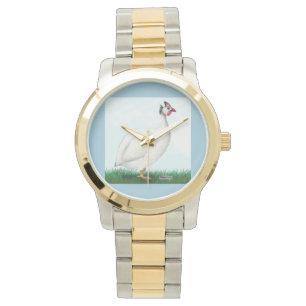 Montre Guinée blanche