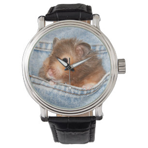 Montre Hamster dans des blues-jean