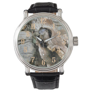 Montre Harry Otter