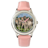 Herd Wild Grullo Dulmen Cheval Foals — plaque à ca