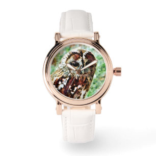 MONTRE HIBOU