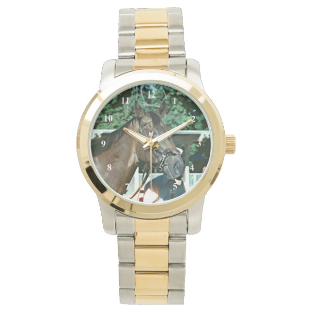 Montre Hippocampe Forego 1977 (devant)
