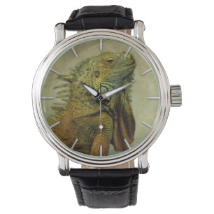 Montre Iguana verte