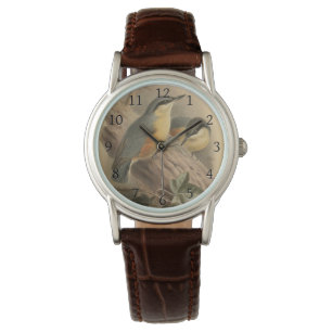 Montre Illustration vintage de Nuthatch