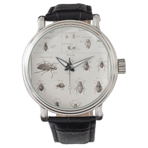 Montre Illustration vintage de scarabées d'insectes