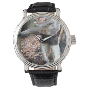 Montre image d'image augmentée par nez d'animal sauvage
