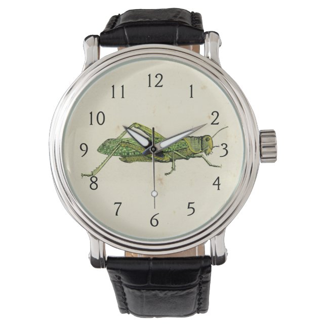 Montre Impression encadrée de sauterelles vertes (devant)