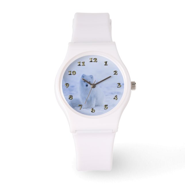 Montre Islande Renard arctique (Recto)