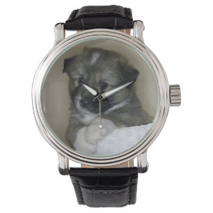 Montre Islandhund - Islandandic Sheepdog