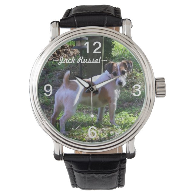 Montre Jack Russel Chien Watch (devant)
