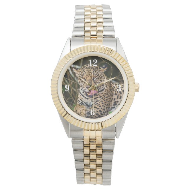 Montre Jaguar (devant)