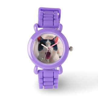 Montre Jeune chat surpris fou faire de grands yeux