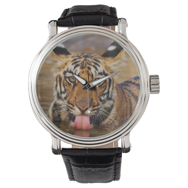 Montre Jeune tigre du Bengale royal, buvant de l'eau (devant)