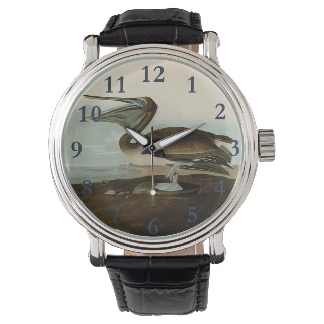 Montre John James Audubon Peinture Pélicane Brown (devant)