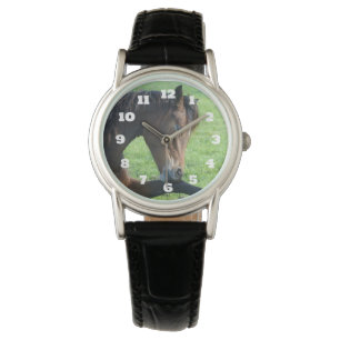 Montre Joli Cheval Brown allongé dans l'herbe