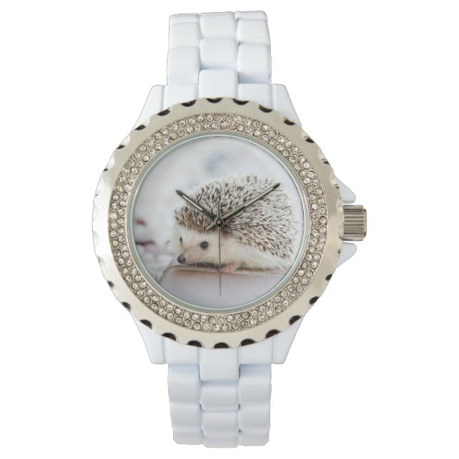 Montre Joli hérisson (devant)