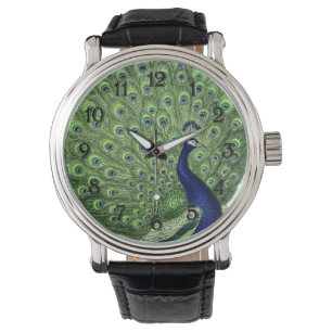 Montre Joli Peacock
