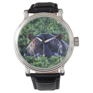 Montre Kenya, réserve nationale du Masai Mara.