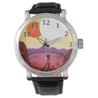 Kepler Space Voyage Destination Planète Aventure