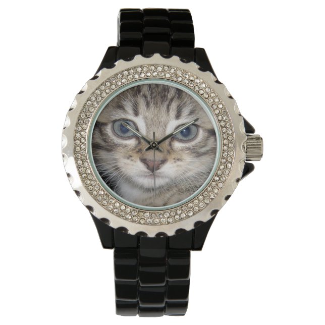 Montre Kitten Gris Fluffé Bleu, (devant)