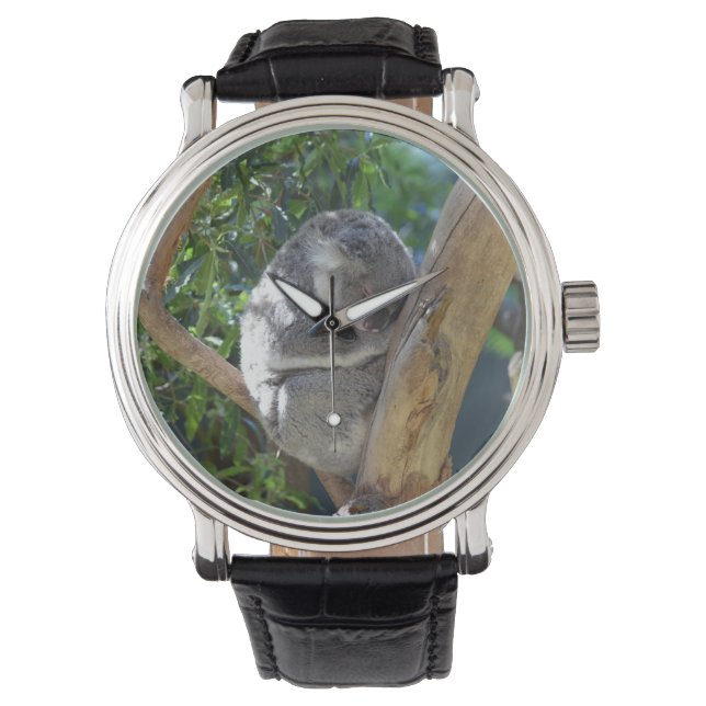 Montre Koala dormant dans l'arbre (devant)