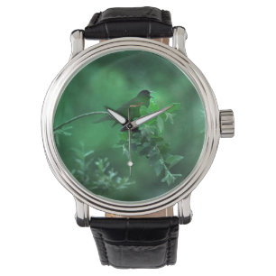 Montre La chanson, chant des oiseaux dans le paysage vert