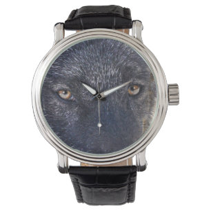 Montre La faune face au loup noir