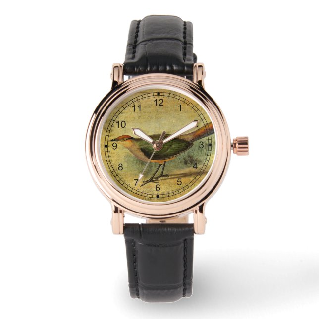 Montre La note de la Coucou (Recto)
