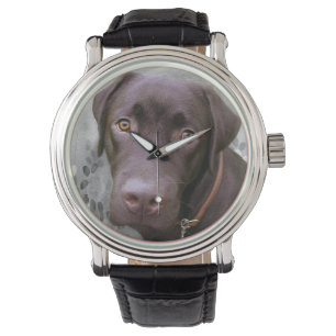 Montre Labrador Jimmy.