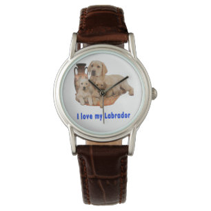 Montre Labrador Retriever