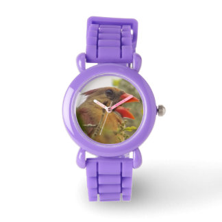 Montre Lady Cardinal Watch