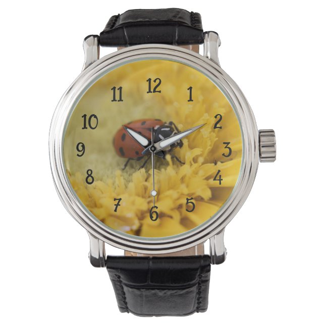 Montre Ladybug (devant)