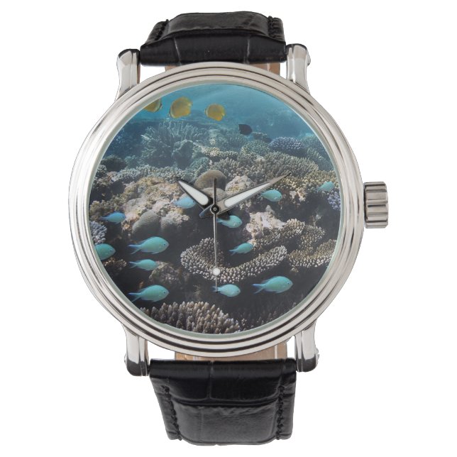 Montre Lagon tropical | Atoll d'Ari Sud (devant)
