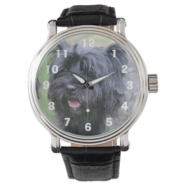 Montre Le Caire (devant)