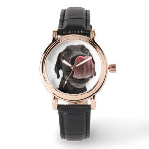 Montre Le Labrador Noir se lâche le nez