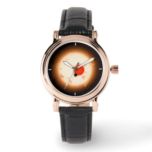 Montre Le système Kepler-16.