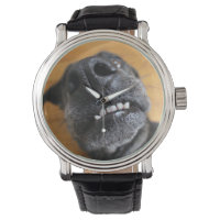 Lefty's Grill Watch