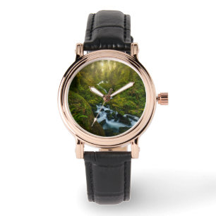 Montre Les cascades Parc National Olympique, Washington