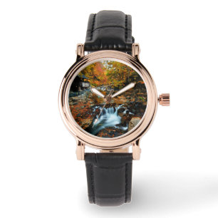 Montre Les cascades Takaragawa Onsen Osenkaku, Japon