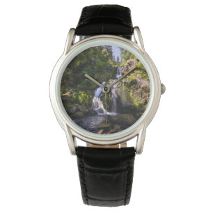 Montre Les cascades Triberger Wasserfälle, Allemagne