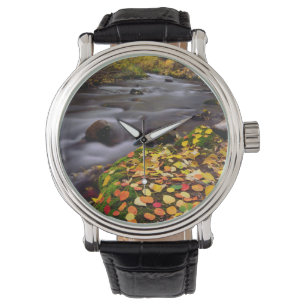 Montre Les couleurs d'automne le long de McGee Creek