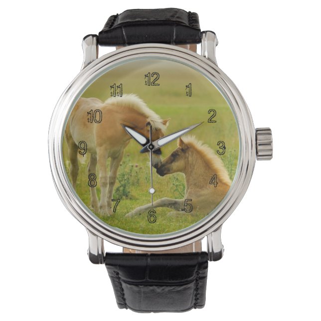 Montre Les poulains du cheval (devant)