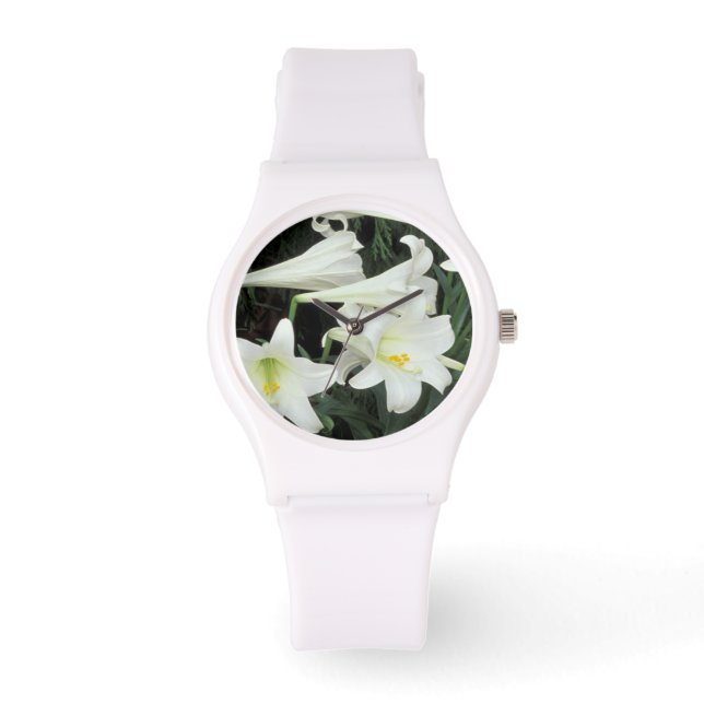 Montre Lily de Pâques (Lilium regale) (Recto)