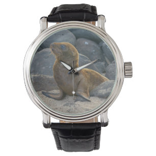 Montre Lion de mer des Galapagos
