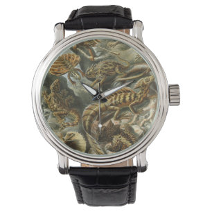 Montre Lizards par Ernst Haeckel Vintage Lacertilia Anima