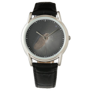 Montre L'objet interstellaire Wayward Oumuamua.