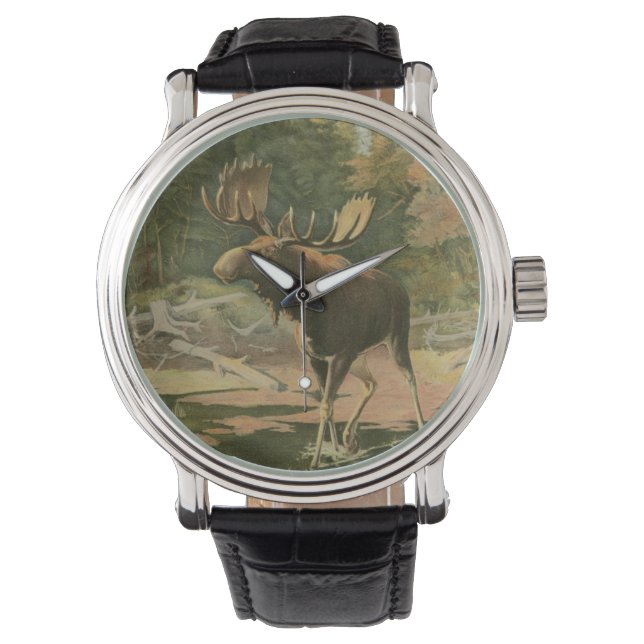 Montre L'orignal marche dans l'eau (devant)